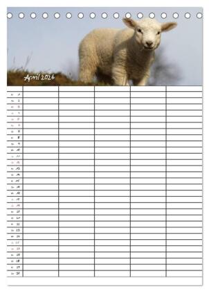 Familienplaner - Sylt (Tischkalender 2026 DIN A5 hoch), CALVENDO Monatskalender