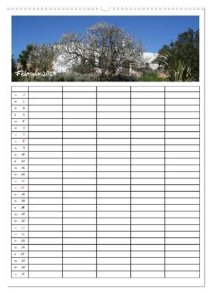 Ibiza / Familienplaner (Wandkalender 2026 DIN A2 hoch), CALVENDO Monatskalender
