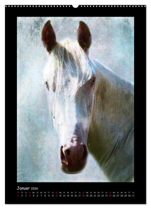 Art Horse 2026 (Wandkalender 2026 DIN A2 hoch), CALVENDO Monatskalender
