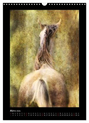 Art Horse 2026 (Wandkalender 2026 DIN A3 hoch), CALVENDO Monatskalender
