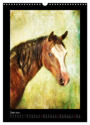 Art Horse 2026 (Wandkalender 2026 DIN A3 hoch), CALVENDO Monatskalender