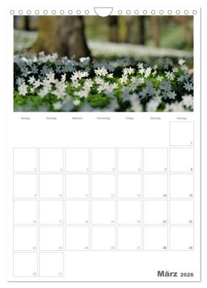 Insel Rügen / Planer (Wandkalender 2026 DIN A4 hoch), CALVENDO Monatskalender