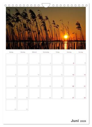 Insel Rügen / Planer (Wandkalender 2026 DIN A4 hoch), CALVENDO Monatskalender