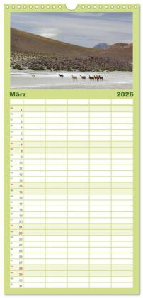 Familienplaner 2026 - Magie dieses Südamerikanischen Landes, Chile mit 5 Spalten (Wandkalender, 21 x 45 cm) CALVENDO