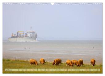 Cuxland, Urlaubsglück zwischen Nordsee und Elbe (Wandkalender 2026 DIN A3 quer), CALVENDO Monatskalender
