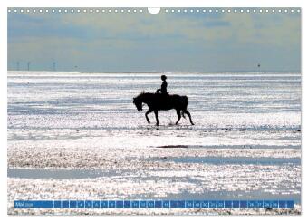 Cuxland, Urlaubsglück zwischen Nordsee und Elbe (Wandkalender 2026 DIN A3 quer), CALVENDO Monatskalender