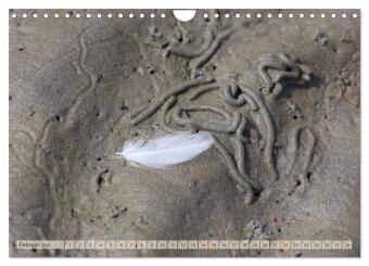 Cuxland, Urlaubsglück zwischen Nordsee und Elbe (Wandkalender 2026 DIN A4 quer), CALVENDO Monatskalender