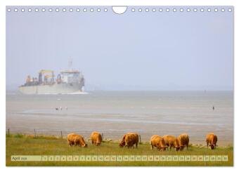 Cuxland, Urlaubsglück zwischen Nordsee und Elbe (Wandkalender 2026 DIN A4 quer), CALVENDO Monatskalender