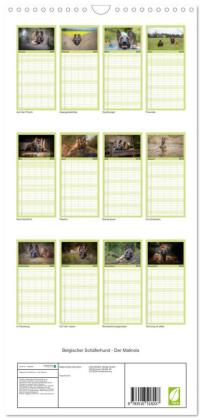 Familienplaner 2026 - Belgischer Schäferhund - Der Malinois mit 5 Spalten (Wandkalender, 21 x 45 cm) CALVENDO