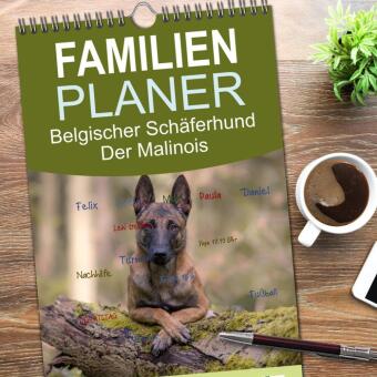 Familienplaner 2026 - Belgischer Schäferhund - Der Malinois mit 5 Spalten (Wandkalender, 21 x 45 cm) CALVENDO