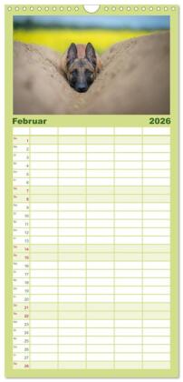 Familienplaner 2026 - Belgischer Schäferhund - Der Malinois mit 5 Spalten (Wandkalender, 21 x 45 cm) CALVENDO