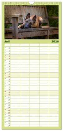 Familienplaner 2026 - Belgischer Schäferhund - Der Malinois mit 5 Spalten (Wandkalender, 21 x 45 cm) CALVENDO