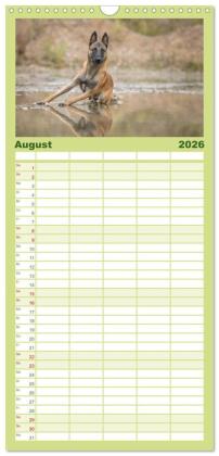Familienplaner 2026 - Belgischer Schäferhund - Der Malinois mit 5 Spalten (Wandkalender, 21 x 45 cm) CALVENDO