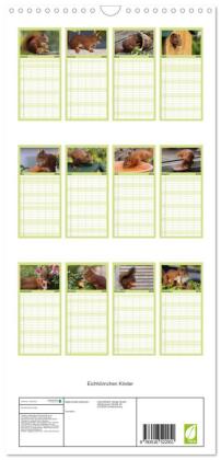 Familienplaner 2026 - Eichhörnchen Kinder mit 5 Spalten (Wandkalender, 21 x 45 cm) CALVENDO