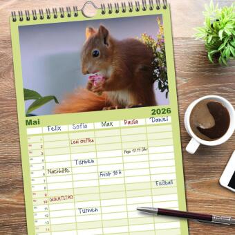 Familienplaner 2026 - Eichhörnchen Kinder mit 5 Spalten (Wandkalender, 21 x 45 cm) CALVENDO