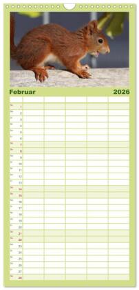 Familienplaner 2026 - Eichhörnchen Kinder mit 5 Spalten (Wandkalender, 21 x 45 cm) CALVENDO
