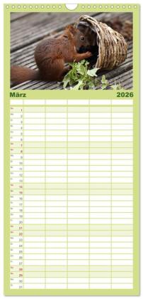 Familienplaner 2026 - Eichhörnchen Kinder mit 5 Spalten (Wandkalender, 21 x 45 cm) CALVENDO