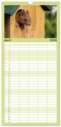 Familienplaner 2026 - Eichhörnchen Kinder mit 5 Spalten (Wandkalender, 21 x 45 cm) CALVENDO