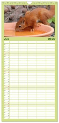 Familienplaner 2026 - Eichhörnchen Kinder mit 5 Spalten (Wandkalender, 21 x 45 cm) CALVENDO