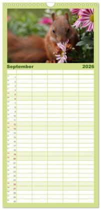 Familienplaner 2026 - Eichhörnchen Kinder mit 5 Spalten (Wandkalender, 21 x 45 cm) CALVENDO