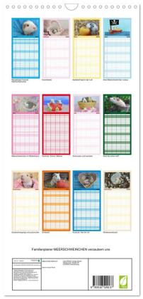 Familienplaner 2026 - Familienplaner MEERSCHWEINCHEN verzaubern uns mit 5 Spalten (Wandkalender, 21 x 45 cm) CALVENDO