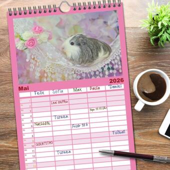 Familienplaner 2026 - Familienplaner MEERSCHWEINCHEN verzaubern uns mit 5 Spalten (Wandkalender, 21 x 45 cm) CALVENDO