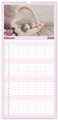Familienplaner 2026 - Familienplaner MEERSCHWEINCHEN verzaubern uns mit 5 Spalten (Wandkalender, 21 x 45 cm) CALVENDO