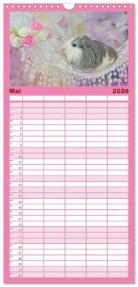 Familienplaner 2026 - Familienplaner MEERSCHWEINCHEN verzaubern uns mit 5 Spalten (Wandkalender, 21 x 45 cm) CALVENDO