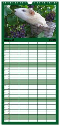 Familienplaner 2026 - Familienplaner MEERSCHWEINCHEN verzaubern uns mit 5 Spalten (Wandkalender, 21 x 45 cm) CALVENDO