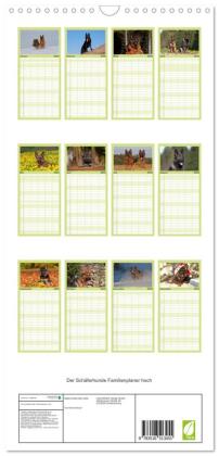 Familienplaner 2026 - Der Schäferhunde Familienplaner hoch mit 5 Spalten (Wandkalender, 21 x 45 cm) CALVENDO