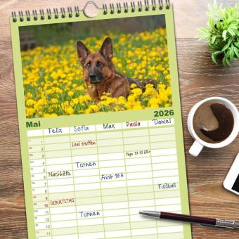 Familienplaner 2026 - Der Schäferhunde Familienplaner hoch mit 5 Spalten (Wandkalender, 21 x 45 cm) CALVENDO