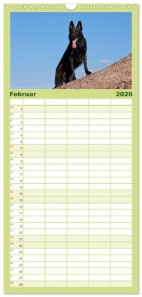 Familienplaner 2026 - Der Schäferhunde Familienplaner hoch mit 5 Spalten (Wandkalender, 21 x 45 cm) CALVENDO