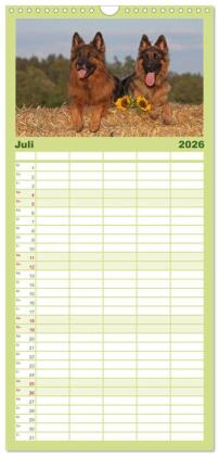 Familienplaner 2026 - Der Schäferhunde Familienplaner hoch mit 5 Spalten (Wandkalender, 21 x 45 cm) CALVENDO