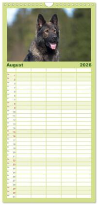 Familienplaner 2026 - Der Schäferhunde Familienplaner hoch mit 5 Spalten (Wandkalender, 21 x 45 cm) CALVENDO