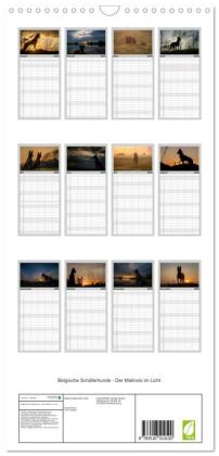Familienplaner 2026 - Belgische Schäferhunde - Der Malinois im Licht mit 5 Spalten (Wandkalender, 21 x 45 cm) CALVENDO