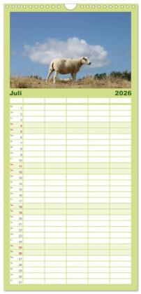Familienplaner 2026 - Texel, eine Perle Frieslands mit 5 Spalten (Wandkalender, 21 x 45 cm) CALVENDO