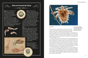 Grässliche Krankheiten & Absurde Heilmethoden