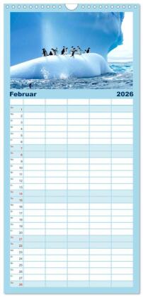 Familienplaner 2026 - Kreuzfahrtpiraten mit 5 Spalten (Wandkalender, 21 x 45 cm) CALVENDO