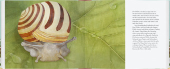 Schau mal, eine Schnecke!