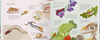 Schau mal, eine Schnecke!