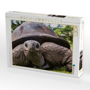 CALVENDO Puzzle Eine der über 300 Seychellen-Riesenschildkröten auf Curieuse | 1000 Teile Lege-Größe 64x48cm Foto-Puzzle für glückliche Stunden