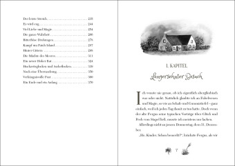 Ruby Fairygale (Band 8) - Das Buch der vergessenen Wunder