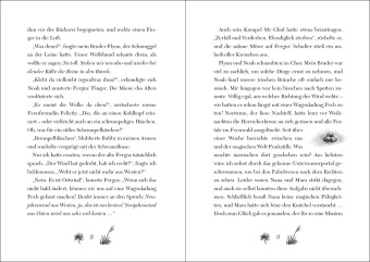 Ruby Fairygale (Band 8) - Das Buch der vergessenen Wunder