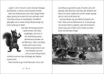 Der letzte Feuerfalke und die Unterwelt (Band 11)