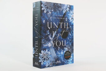 Until I Get You (Fairview Hockey, Band 1)