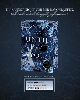 Until I Get You (Fairview Hockey, Band 1)