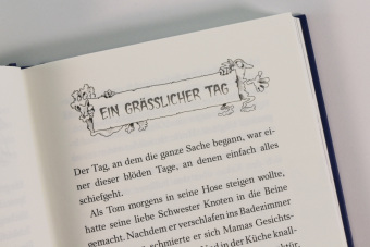 Gespensterjäger auf eisiger Spur (Band 1) - Mit 8 neu illustrierten Farbseiten