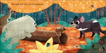 Schau mal, was passiert! In der Nacht 