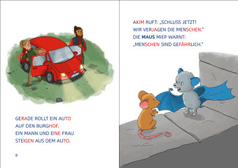 Leselöwen 1. Klasse - Fledermaus im Anflug (Großbuchstabenausgabe)