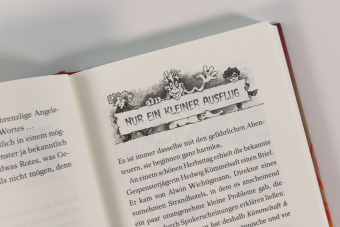 Gespensterjäger im Feuerspuk (Band 2) - Mit 8 neu illustrierten Farbseiten